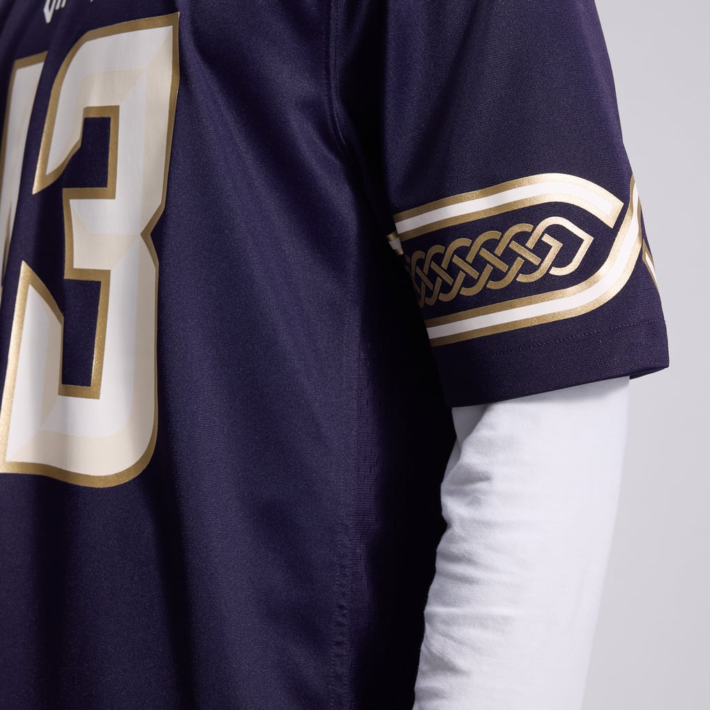 Men's Minnesota Vikings Andrew Van Ginkel Nike Purple 2026 Rivalries Collection Game Jersey - Image 19