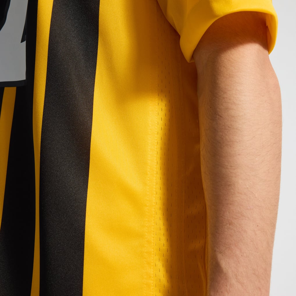 Men's Pittsburgh Steelers Cameron Heyward Nike Gold Alternate 1933 Throwback Game Jersey - Image 14